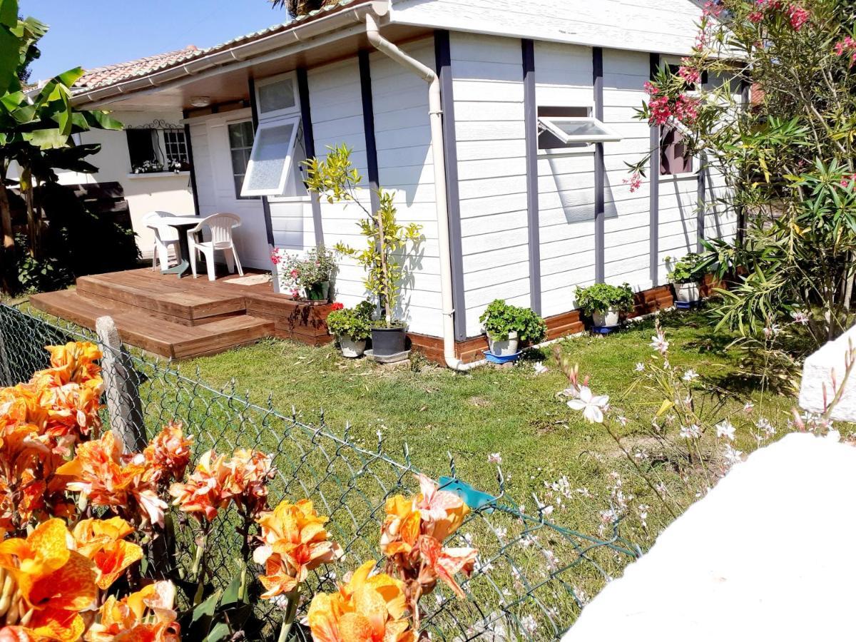 Chalet Ferienhaus *