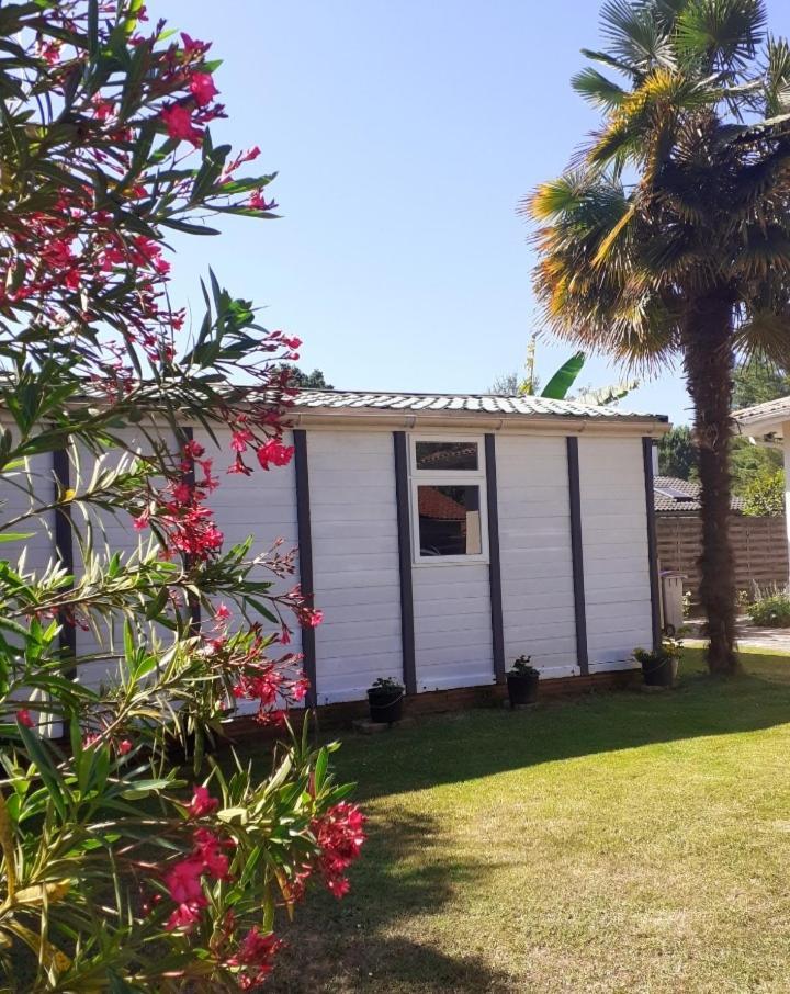 Hébergement de vacances Chalet
